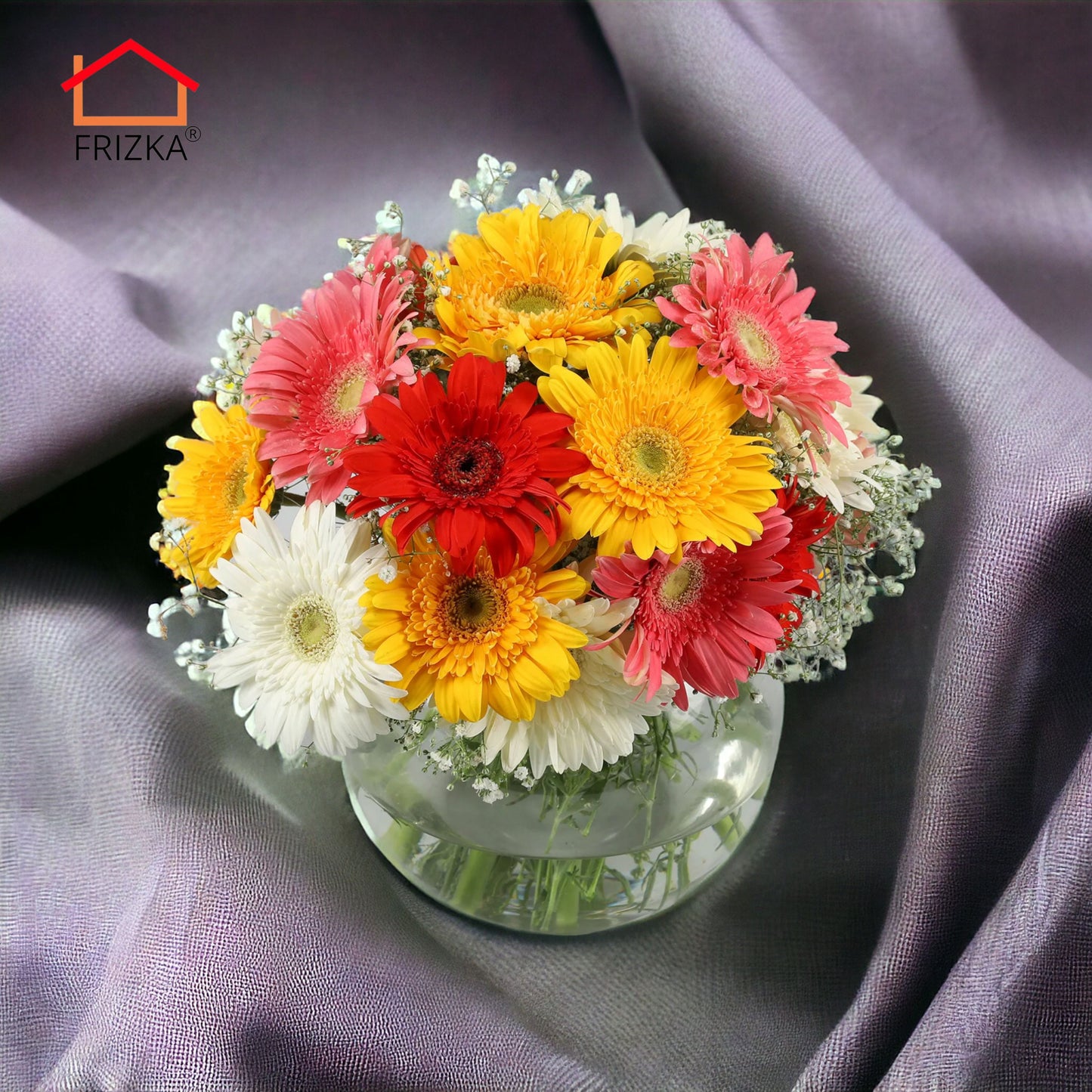Frizka Gerbera Blossoms Flowers