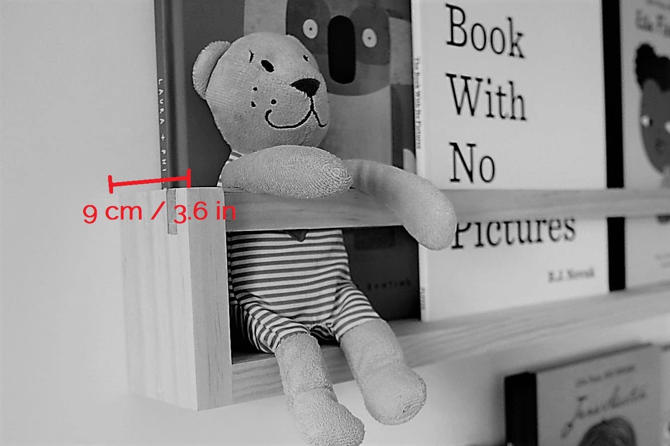 Wall Mounted Book Shelf