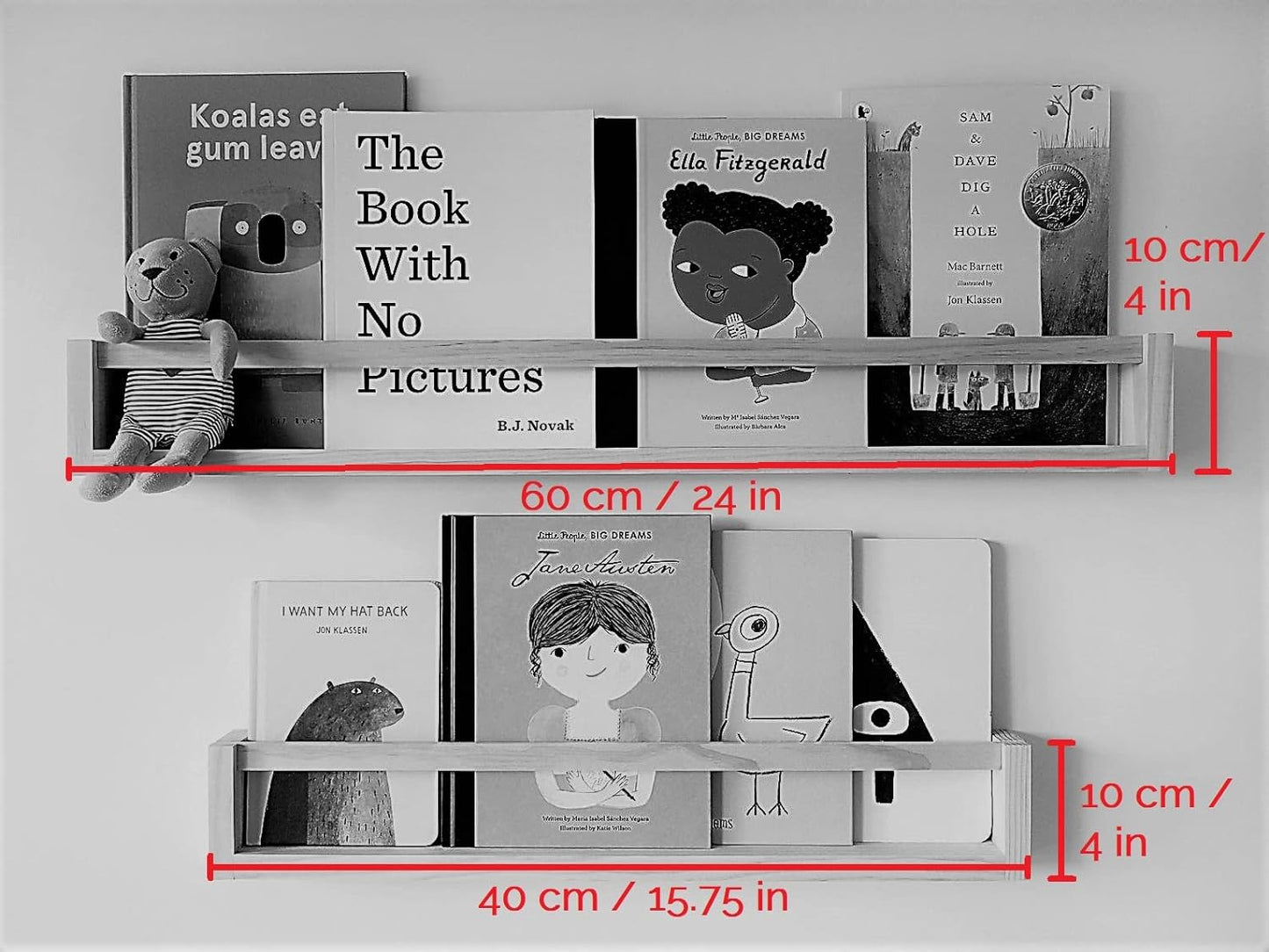 Wall Mounted Book Shelf