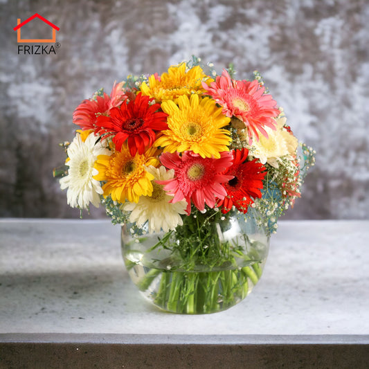 Frizka Gerbera Blossoms Flowers