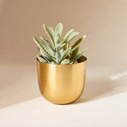 Aluminium Planter Pot, 5" dia