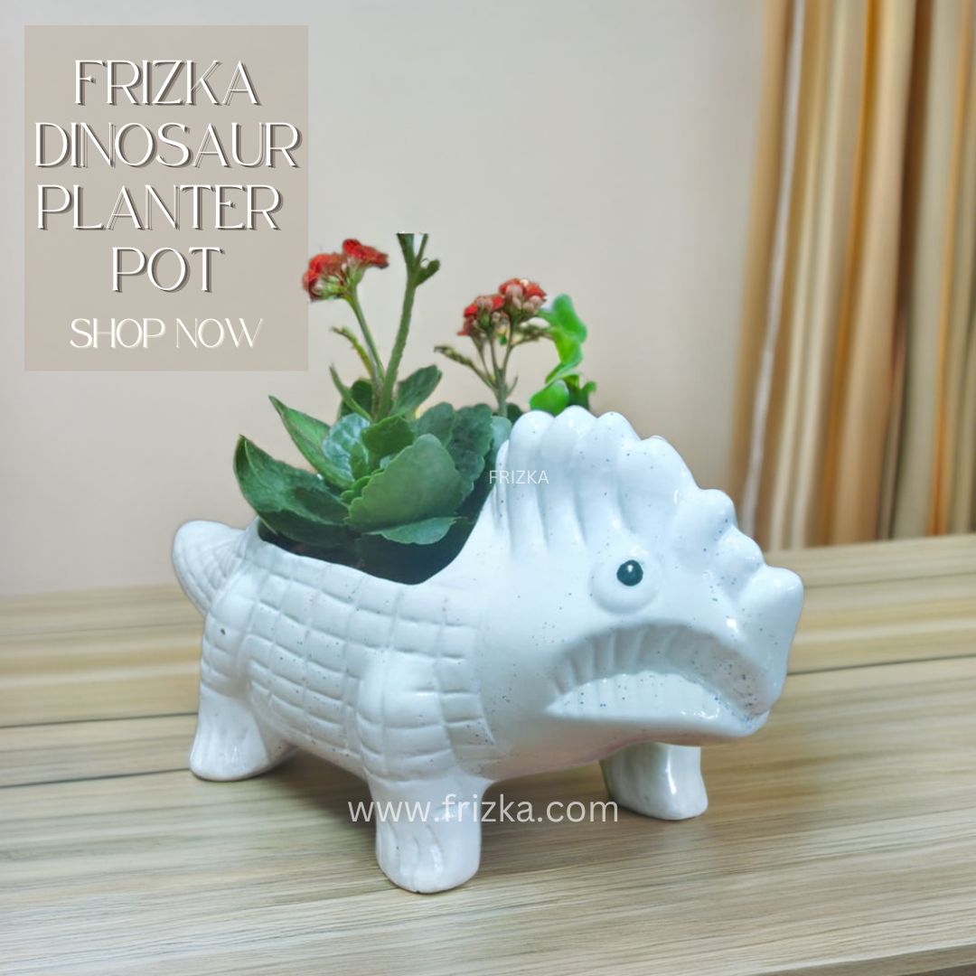 Ceramic Dinosaur with kalanchoe Plant