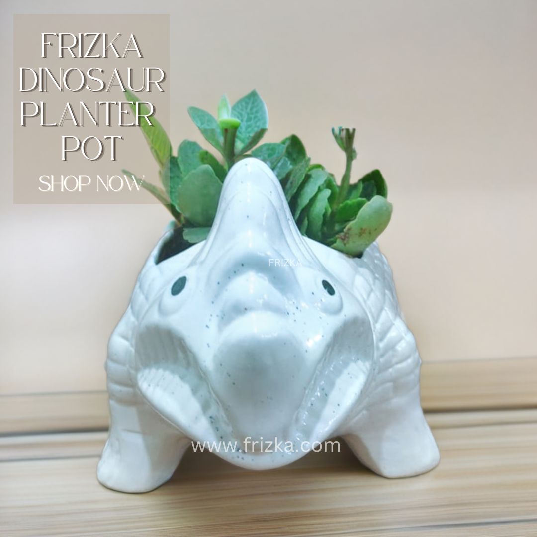 Ceramic Dinosaur with kalanchoe Plant