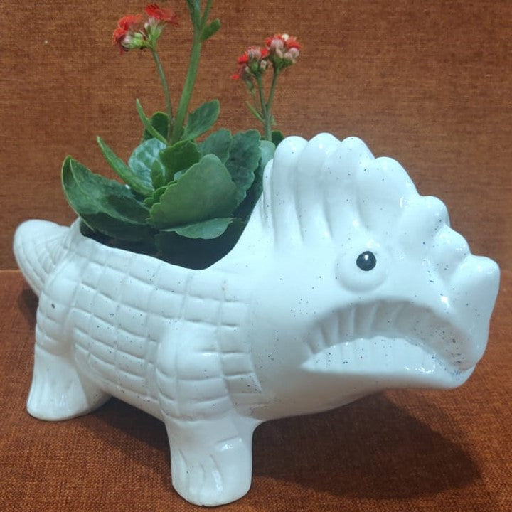 Ceramic Dinosaur with kalanchoe Plant