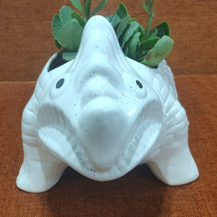 Ceramic Dinosaur with kalanchoe Plant