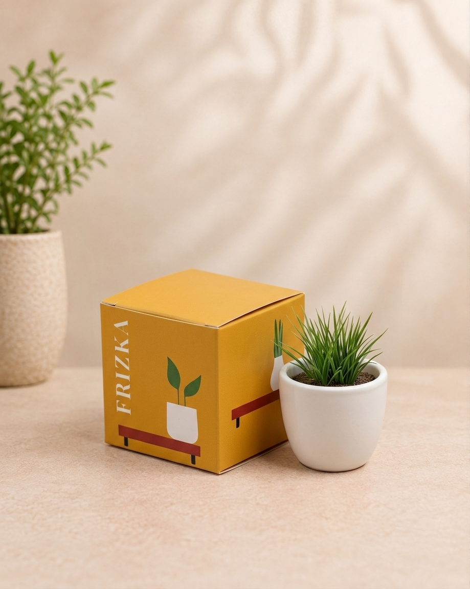 Celebration Box Gift Box 2026 | Set of 9